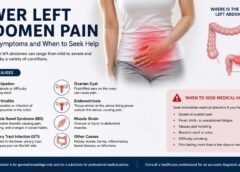 Lower Left Abdomen Pain: Causes, Symptoms, and Treatment