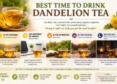 Best Time to Drink Dandelion Tea: Complete Wellness Guide for 2026