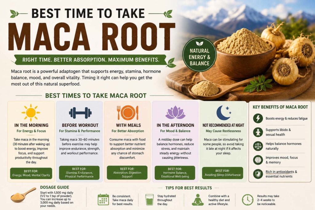 best time to take maca root