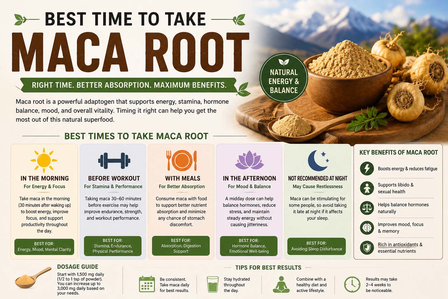 best time to take maca root