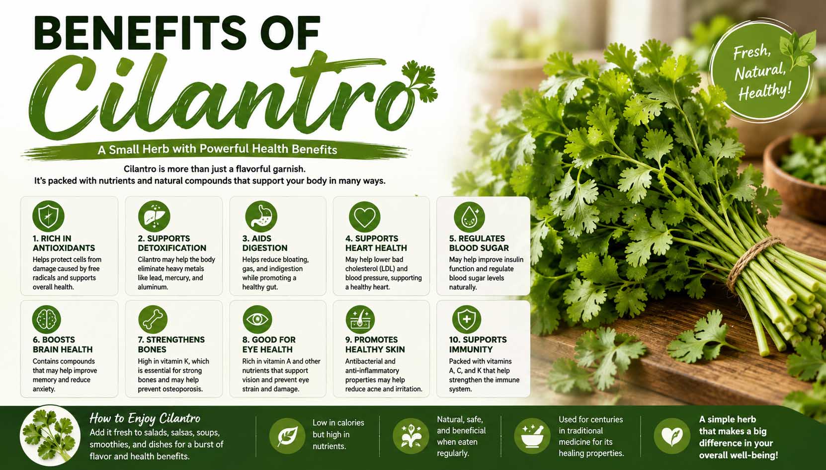 benefits of cilantro