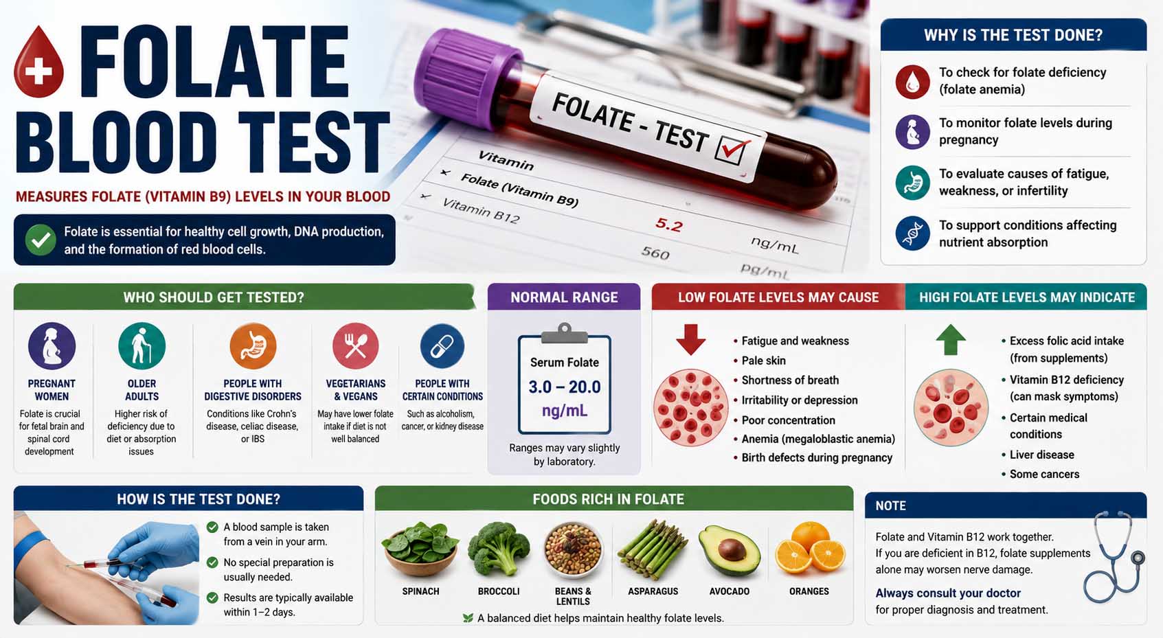 folate blood test