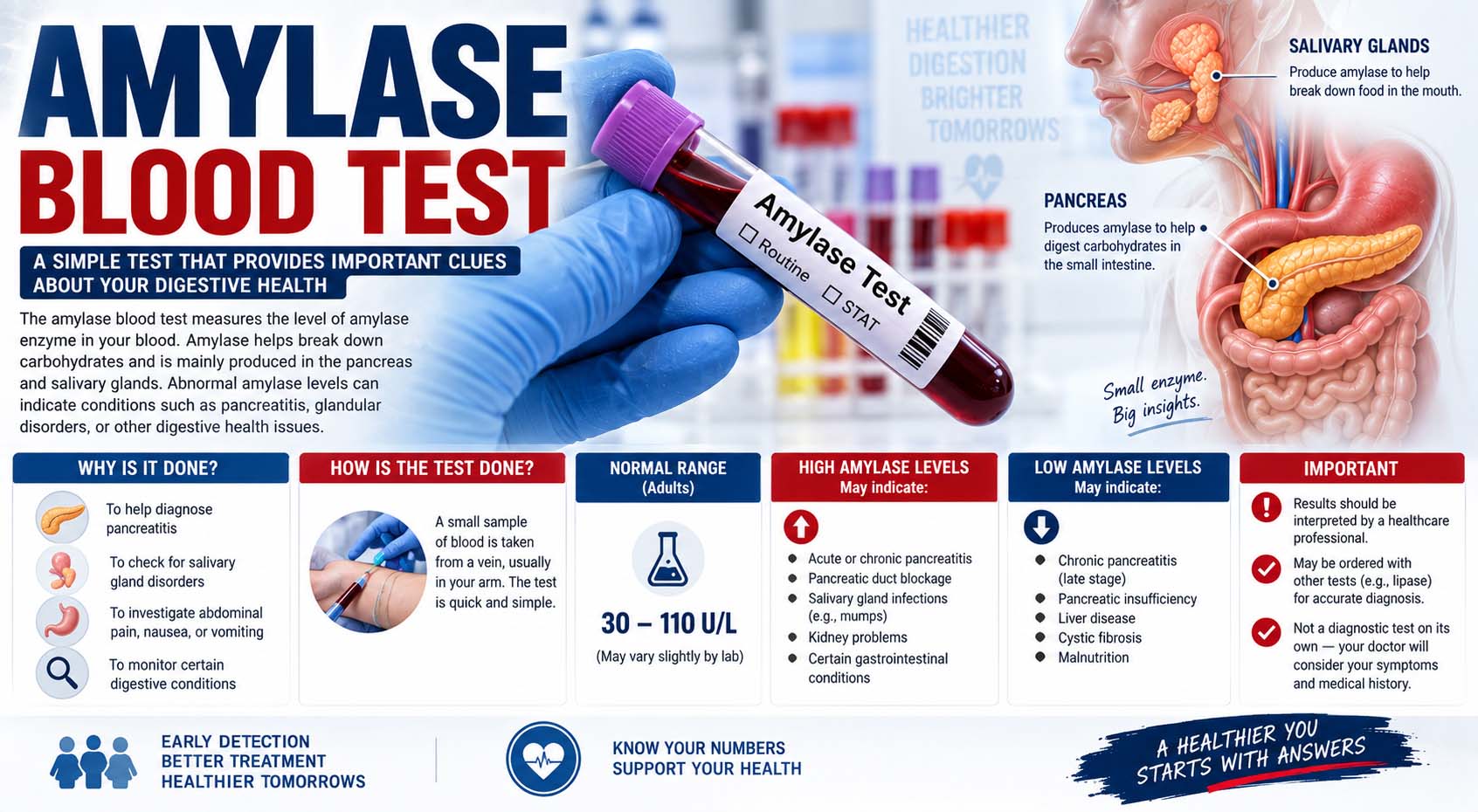 amylase blood test