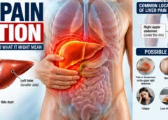 Liver Pain Location: Where It Hurts, Causes, Symptoms, and When to Seek Care